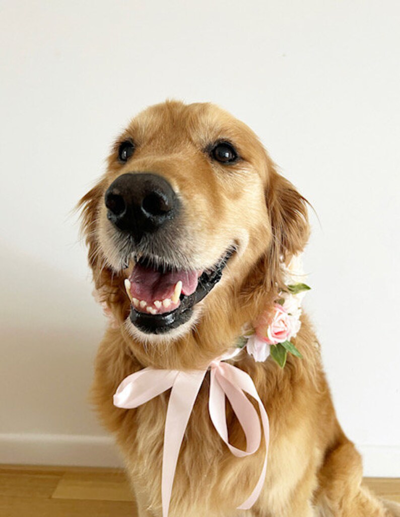 Grand collier de fleurs rose pour chien Couronne de mariage de chien image 3