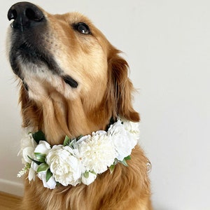 Large White Dog Flower Collar Dog wedding Crown image 5