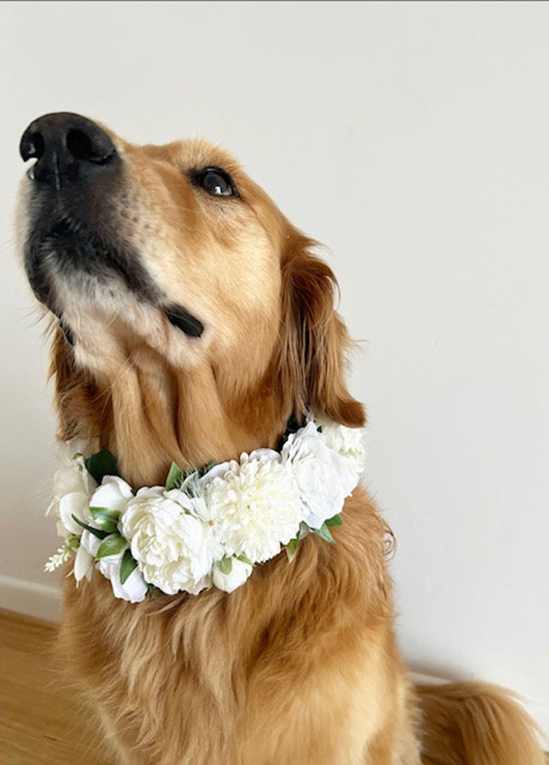 Large White Dog Flower Collar Dog wedding Crown image 5