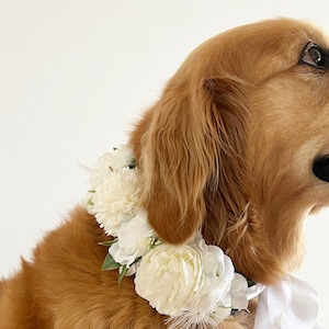 Grande fleur blanche pour chien Couronne de mariage pour chien image 3