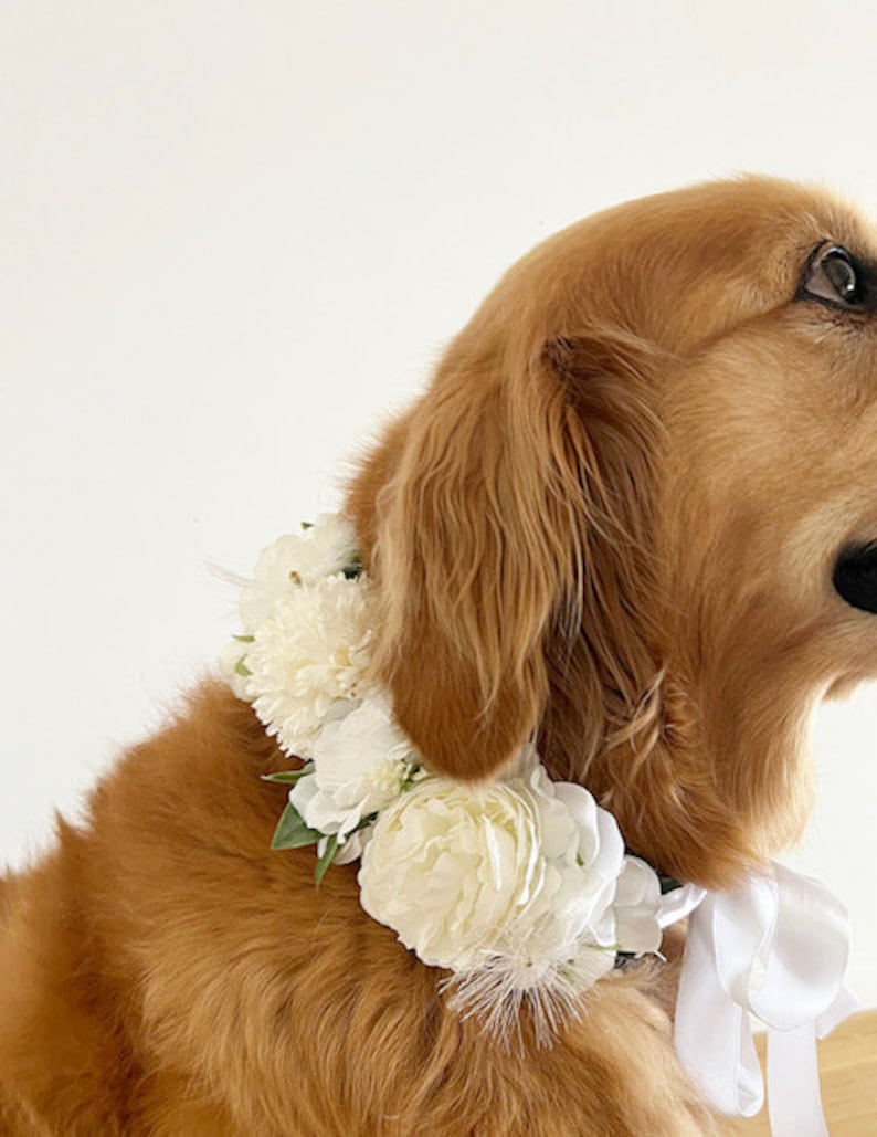 Large White Dog Flower Collar Dog wedding Crown image 3