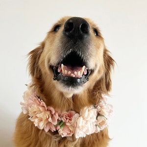 Grand collier de fleurs rose pour chien Couronne de mariage de chien image 2