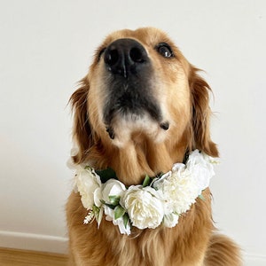 Large White Dog Flower Collar Dog wedding Crown image 1