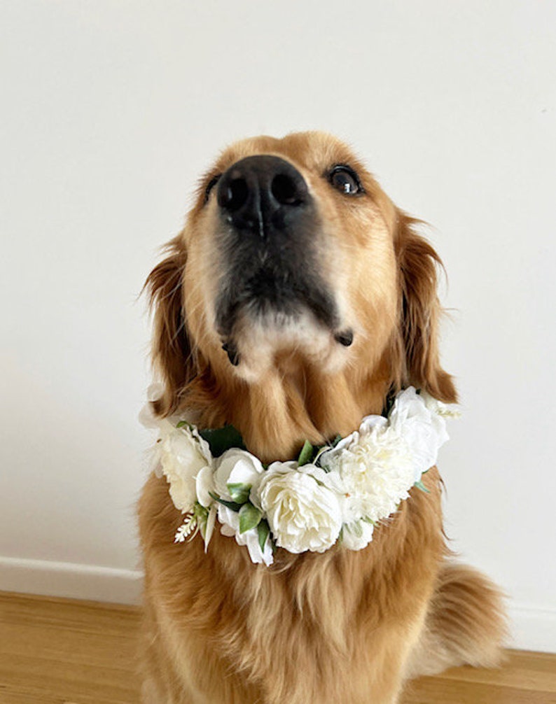 Large White Dog Flower Collar Dog wedding Crown image 1