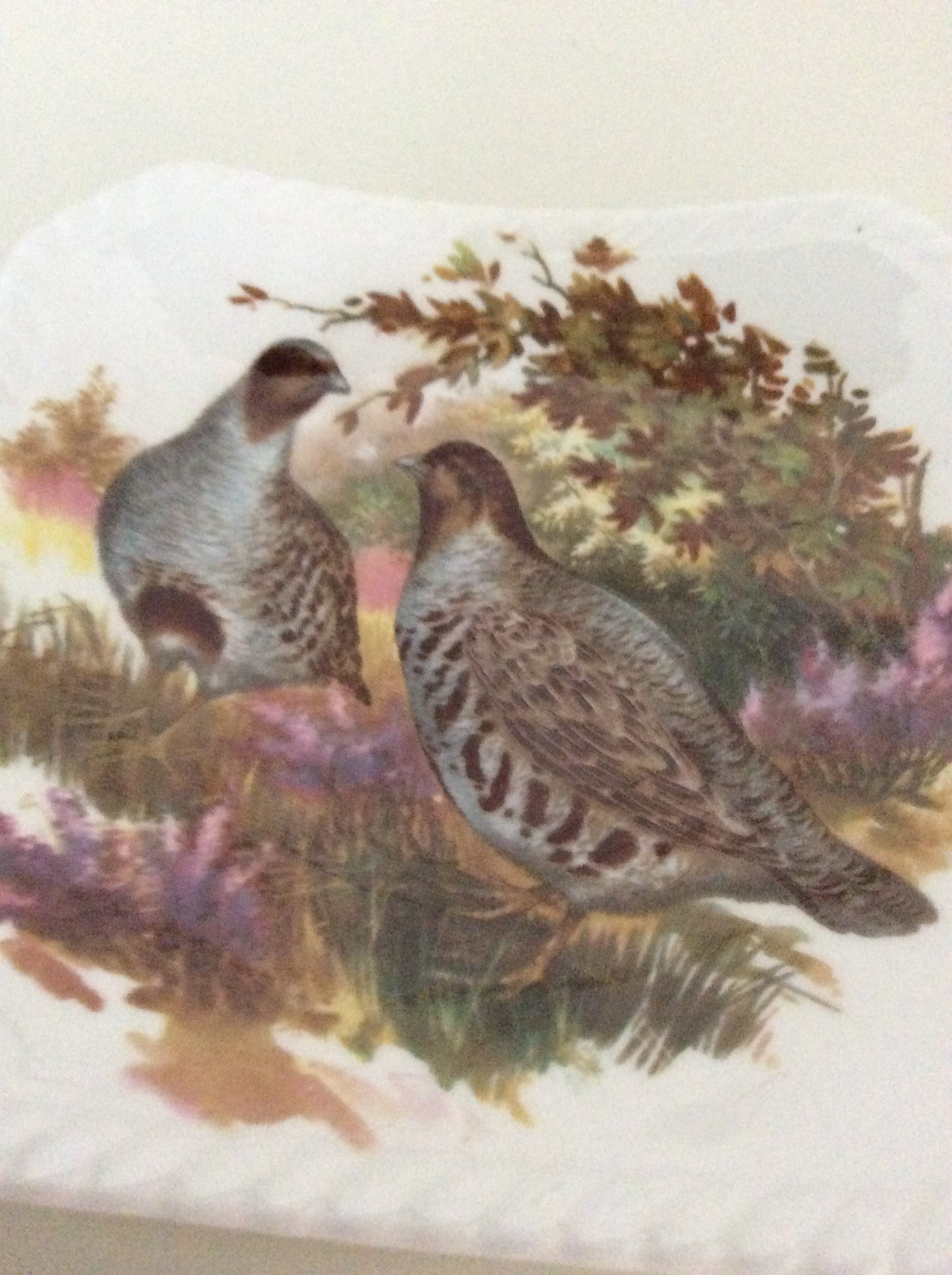 Royal Adderley Game Bird ファインボーンチャイナ 装飾トレイ