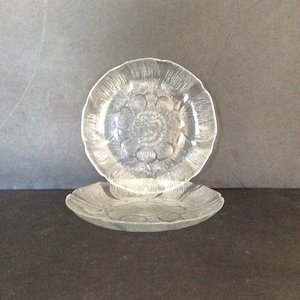 Arcoroc Fleur Luncheon Plates Set of 2 Made in France Pressed Clear Glass with Raised Leaves Replacement VintageFindsFound