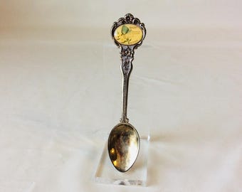 Vintage Idaho Souvenir Spoon Silverplated Celest Memorabilia VintageFindsFound