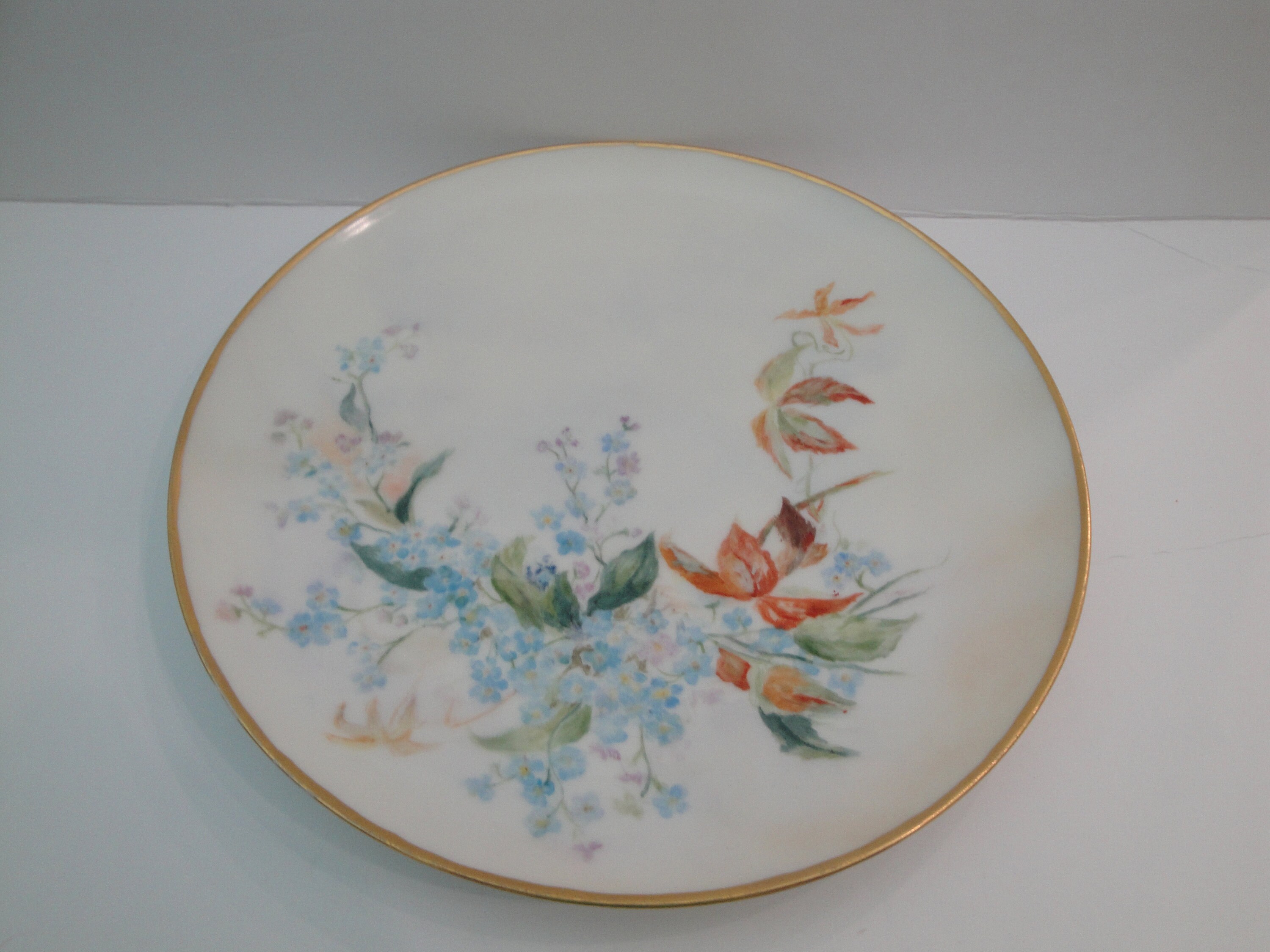 ★新品未使用　超美品★ フランス製　 HAVILAND ディナー皿　４枚 Haviland ハンドペイント ディナープレート フランス 交換用