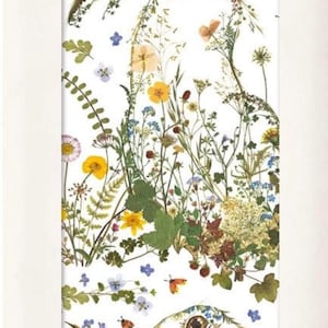 May include: White tissue paper with a design of two hares adorned with flowers and butterflies. The product is rectangular and features the text "Wild Press" and "Tissue Paper 4 Sheets". From Museums & Galleries.