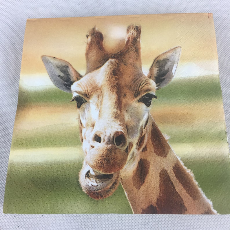 5 Paper Party Napkins Giraffe Animal Pack of 5 3 Ply Tissue Etsy