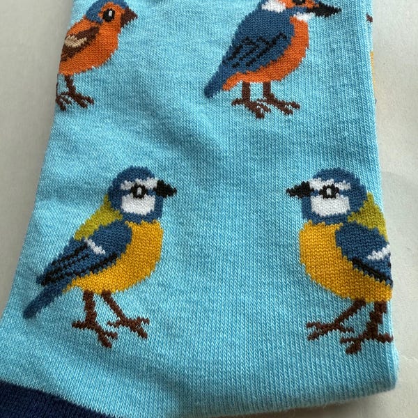 Birds Garden Bird SOCK SOCIETY Light Blue Ankle Socks Adult One Size Fit All