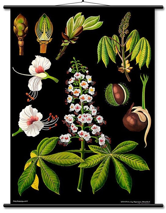 Tableau Mural Éducatif