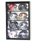 8 Riddell Mini Helmets Football Helmet Display Case Wall Rack Cabinet Mirror Back - 98% UV Lockable 