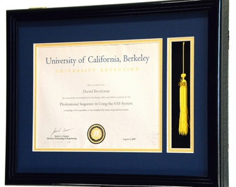 Custom Diploma and Graduation Tassel Display Case Cabinet Frame (w/ Custom Matting Colors)