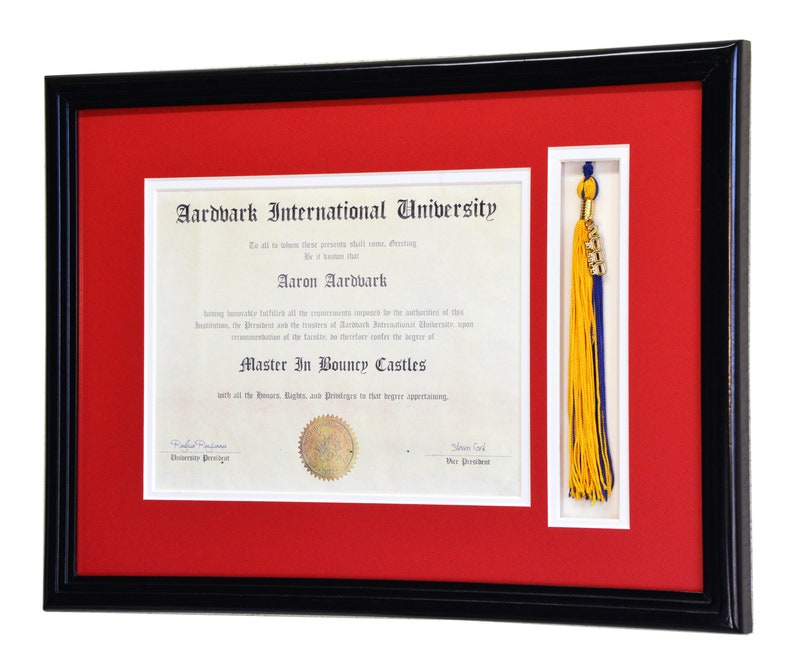 May include: A framed diploma from Aardvark International University, with a red mat and a black frame. The diploma is for Aaron Aardvark, who earned a Master in Bouncy Castles. A gold tassel hangs from the frame.