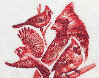 Camiseta Cardenal Sketch Bordado