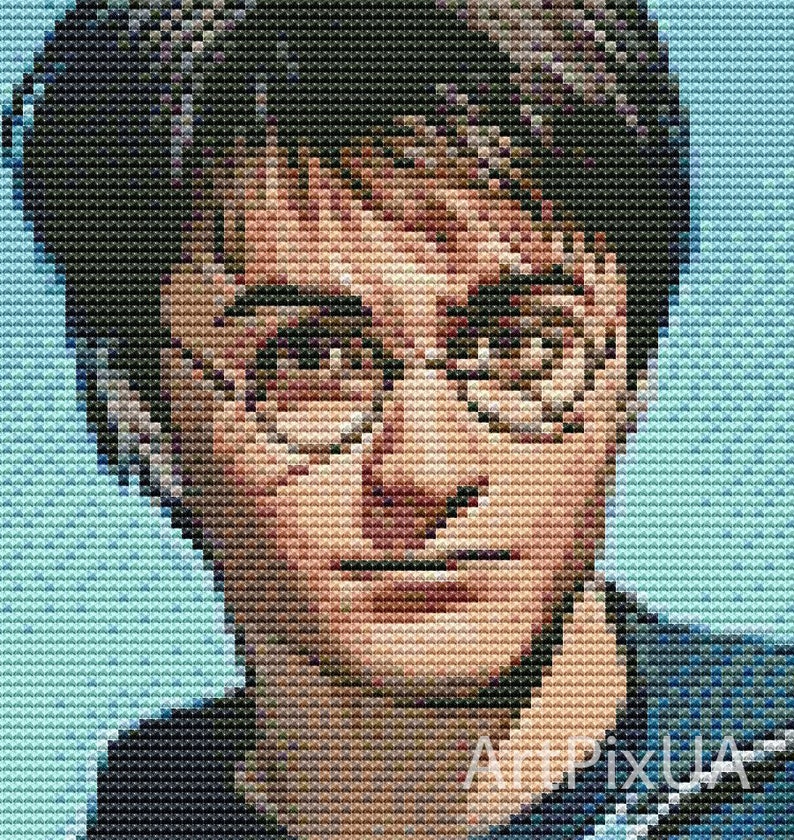 Cross stitch pattern Harry Potter. Harry Potter Owl embroidery | Etsy