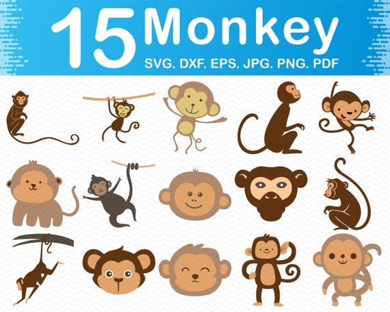 Download Baby Animals Cut Files Bundle Cheeky Monkey Clipart Sock Monkey Svg Vector Files For Cutting Machine Png Dxf Eps Jpg Pdf Instant Download Pet Supplies Pet Portraits