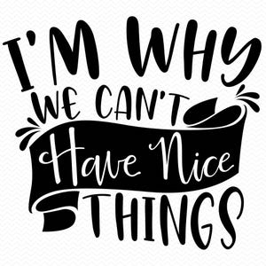 Sono il motivo per cui non possiamo avere cose belle svg, Svg divertente, Sarcastico svg, PNG divertente, Detti divertenti svg, Maglietta divertente svg, Silhouette svg Cricut svg