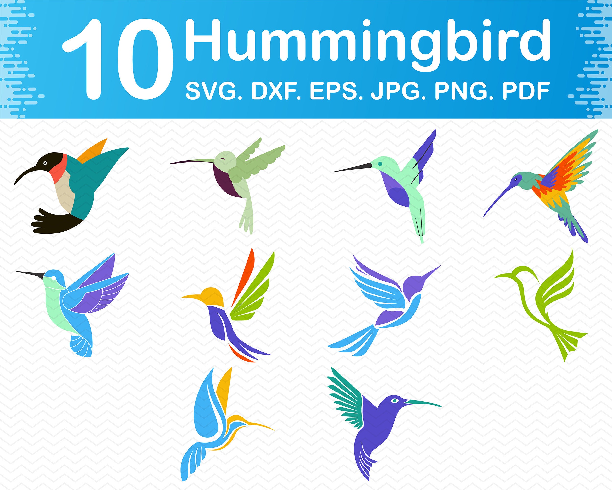 Hummingbird svg Svg hummingbird Hummingbirds Svg Bird svg | Etsy