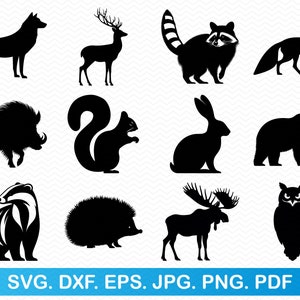 Animaux de la forêt svg, svg animaux de la forêt, renard svg cerf, ours svg loup, hibou svg raton laveur svg, svg hérisson, svg des bois des cliparts
