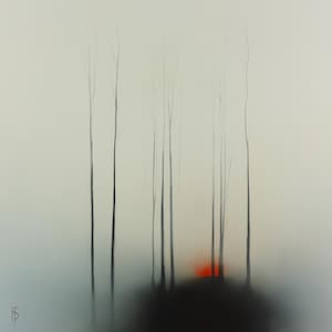 Può includere: Un dipinto che rappresenta una scena di bosco nebbioso con alberi alti e sottili e un tramonto rosso in lontananza.