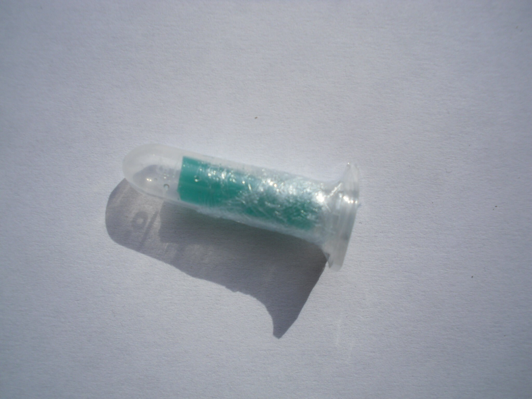 Blushing Morel Mushroom morchella Rufobrunnea Live Culture Etsy