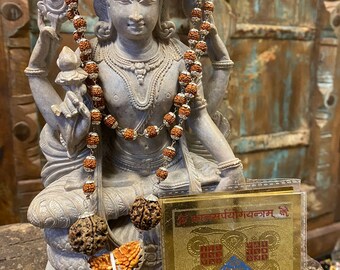 Negate and Nullify Altar - Kaal Sarp Yog Yantra, Rudraksha Beads 5 Mukhi Silver Cap Mala, Yoga Meditation