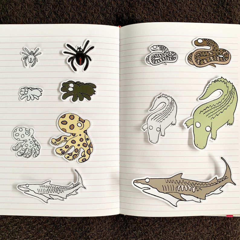 Australian Sticker Set Australian Animals Sticker Set Animal Sticker Pack Aussie Sticker Pack Black and White Sticker Dangerous Animals