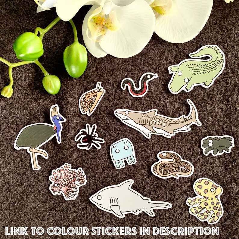 Australian Sticker Set Australian Animals Sticker Set Animal Sticker Pack Aussie Sticker Pack Black and White Sticker Dangerous Animals