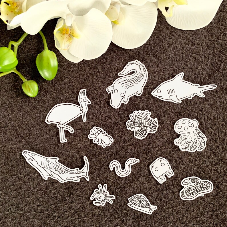 Australian Sticker Set Australian Animals Sticker Set Animal Sticker Pack Aussie Sticker Pack Black and White Sticker Dangerous Animals