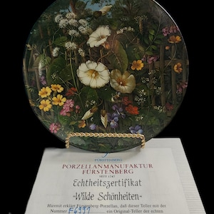 Vintage West Germany Furstenberg Wildflowers Plate Collection. Absolutely beautiful. (1989)