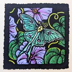 Lunar Moth with Morning Glory by Anita Hagan - Original Linocut / Linoleum Block Print with Acrylic on Kozo Paper