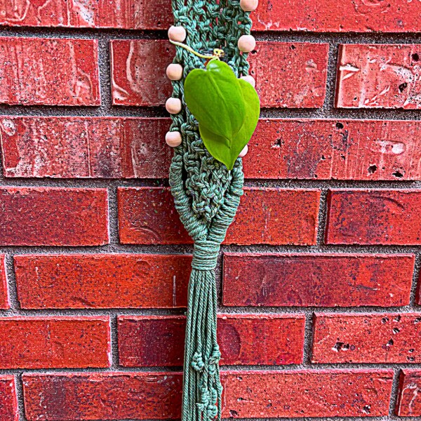 Test Tube Holder Etsy