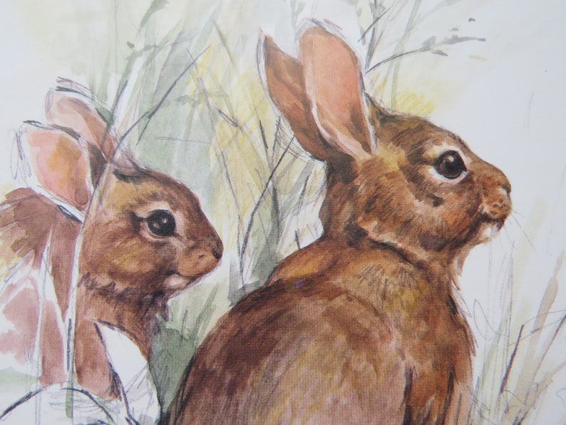 Op de afbeelding: Twee bruine konijnen zijn geschilderd in aquarel. De konijnen bevinden zich in een grasveld. Het konijn rechts kijkt naar rechts, terwijl het konijn links naar links kijkt.