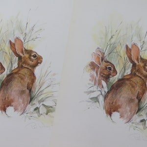 Op de afbeelding: Een aquarel van twee bruine konijnen die in hoog groen gras zitten. De konijnen kijken naar rechts in de afbeelding. Het schilderij is gesigneerd met "Pat Sutton".