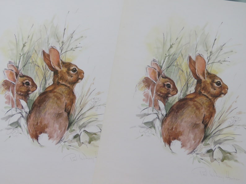 Op de afbeelding: Een aquarel van twee bruine konijnen die in hoog groen gras zitten. De konijnen kijken naar rechts in de afbeelding. Het schilderij is gesigneerd met "Pat Sutton".