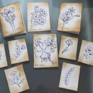 Handmade botanical drawings for junk journal/ephemera plants drawings/handmade cards for junk journals
