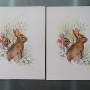 Op de afbeelding: Twee bruine konijnen zitten in een veld met groen gras. Het konijn op de voorgrond kijkt naar rechts, terwijl het konijn op de achtergrond naar links kijkt. De konijnen zijn omringd door groen gras en bladeren.
