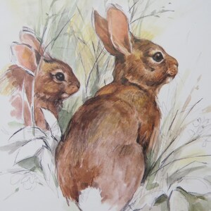Op de afbeelding: Een aquarel van twee bruine konijnen in een veld met groen gras. De konijnen kijken in verschillende richtingen, en degene op de voorgrond kijkt naar rechts. De aquarel is gemaakt in een realistische stijl.