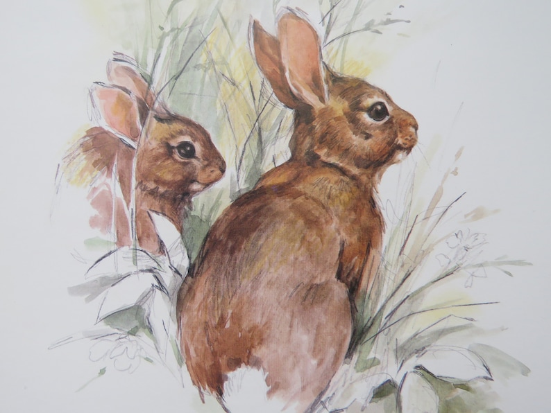 Op de afbeelding: Een aquarel van twee bruine konijnen in een veld met groen gras. De konijnen kijken in verschillende richtingen, en degene op de voorgrond kijkt naar rechts. De aquarel is gemaakt in een realistische stijl.