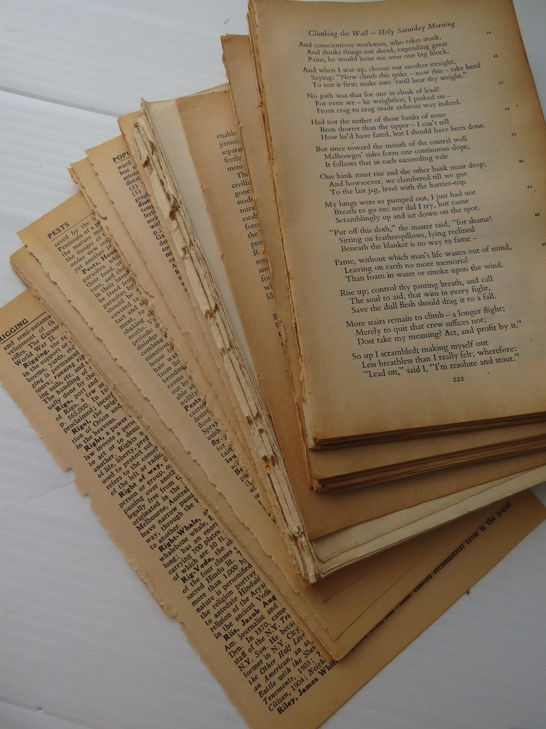 300 Vintage Antique/old Book Pages Bundle Different Dimensions/old ...