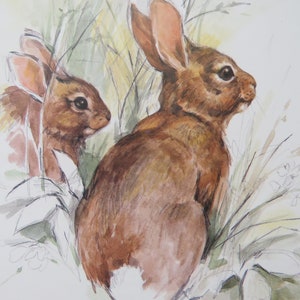 Op de afbeelding: Een aquarel van twee bruine konijnen die in hoog gras zitten. Het konijn op de voorgrond kijkt naar rechts, terwijl het konijn op de achtergrond gedeeltelijk verborgen is door het gras.