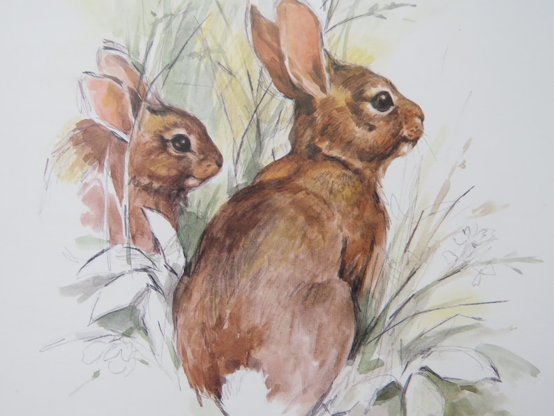Op de afbeelding: Een aquarel van twee bruine konijnen die in hoog gras zitten. Het konijn op de voorgrond kijkt naar rechts, terwijl het konijn op de achtergrond gedeeltelijk verborgen is door het gras.