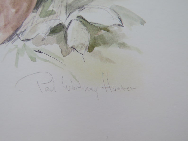 Op de afbeelding: Een aquarel van een bloemstuk met een handtekening onderaan die "Paul Whitney Hunter" luidt.
