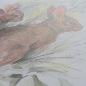 Op de afbeelding: Een aquarel van twee bruine konijnen in een veld met hoog gras. De konijnen kijken in verschillende richtingen en het gras is lichtgroen.