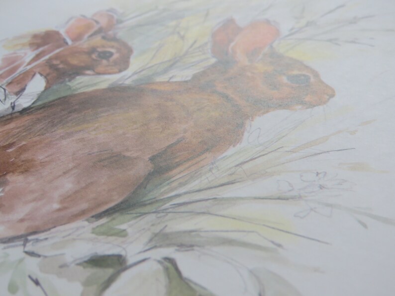 Op de afbeelding: Een aquarel van twee bruine konijnen in een veld met hoog gras. De konijnen kijken in verschillende richtingen en het gras is lichtgroen.