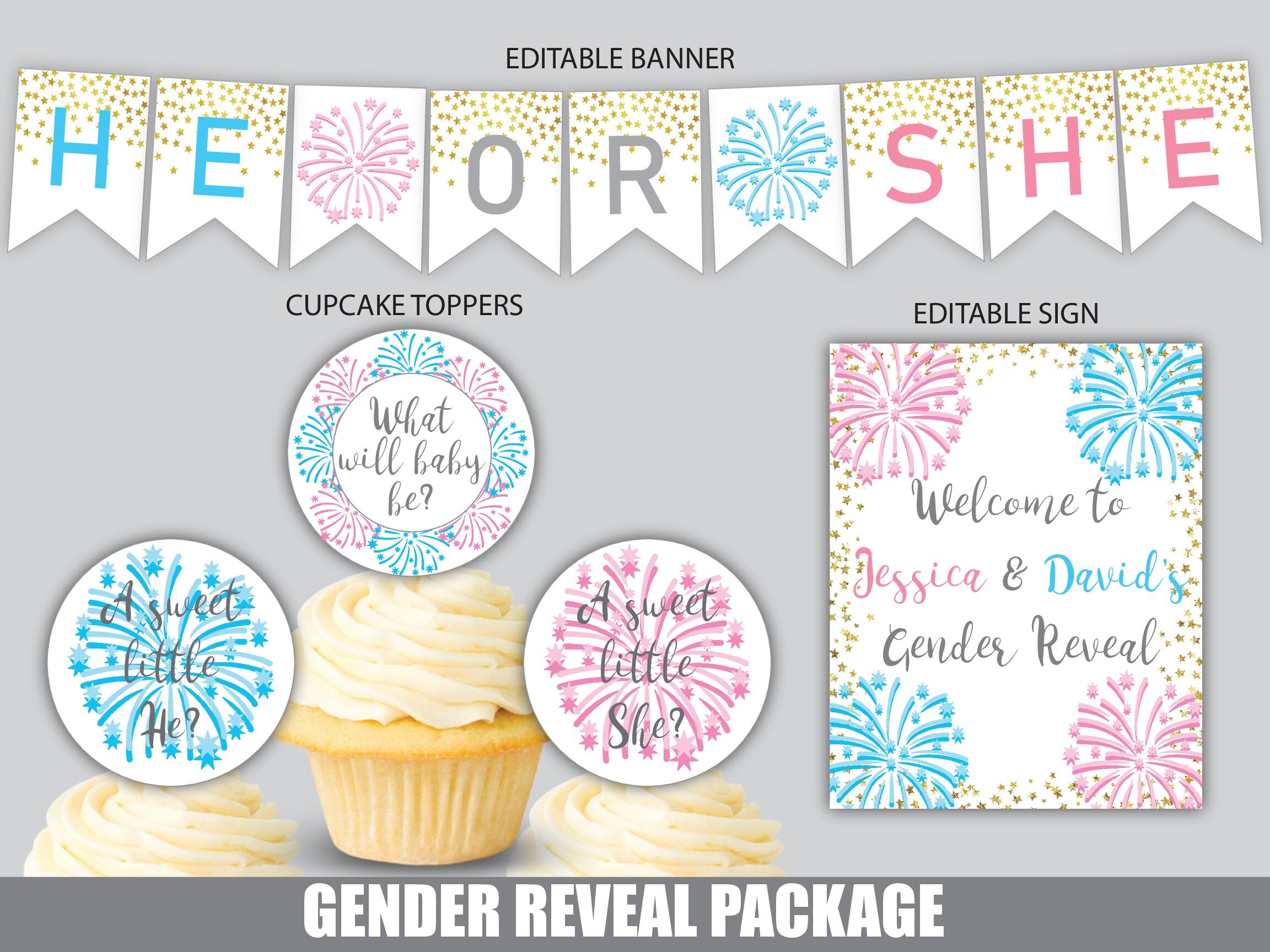 Gender Reveal Decorations Fireworks Gender Reveal Etsy
