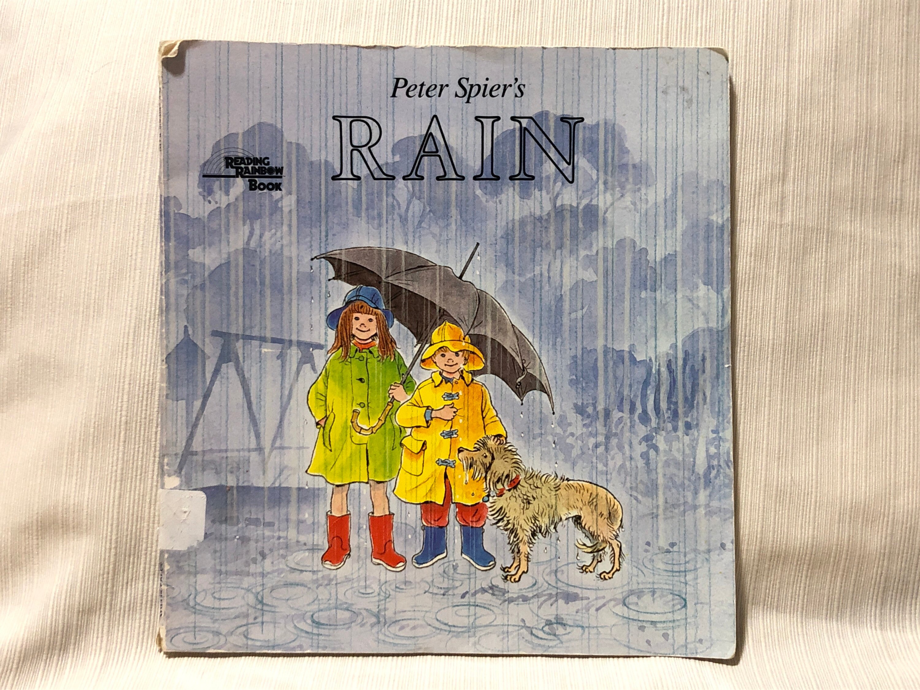 Rain By Peter Spier Reading Rainbow 1980s Childrens Book Etsy
