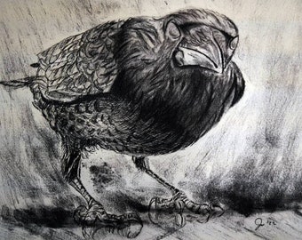 Original Charcoal/Ink Crow Composite Drawing